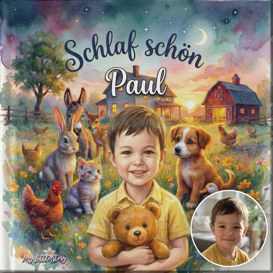 Dein Einschlafbuch (Hörbuch)